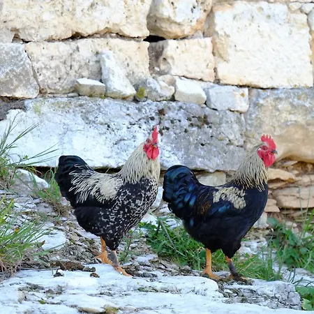 Oda ve Kahvaltı Roquedure Farm *