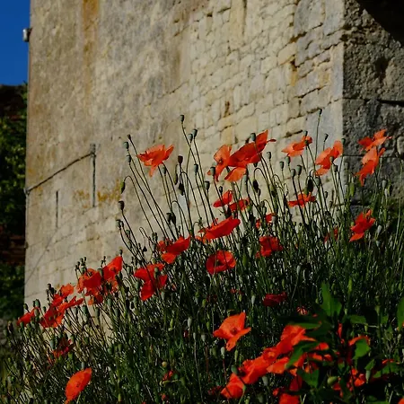 Oda ve Kahvaltı Roquedure Farm