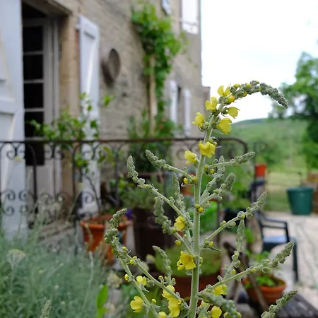 Roquedure Farm Montfaucon (Lot)