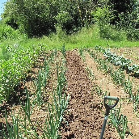 Nocleg ze śniadaniem Roquedure Farm Montfaucon (Lot)