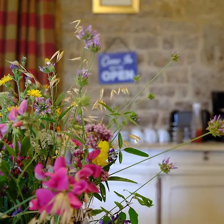 Roquedure Farm * Montfaucon (Lot)