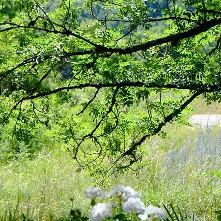 Roquedure Farm Oda ve Kahvaltı *