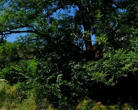 Roquedure Farm Nocleg ze śniadaniem Montfaucon (Lot)