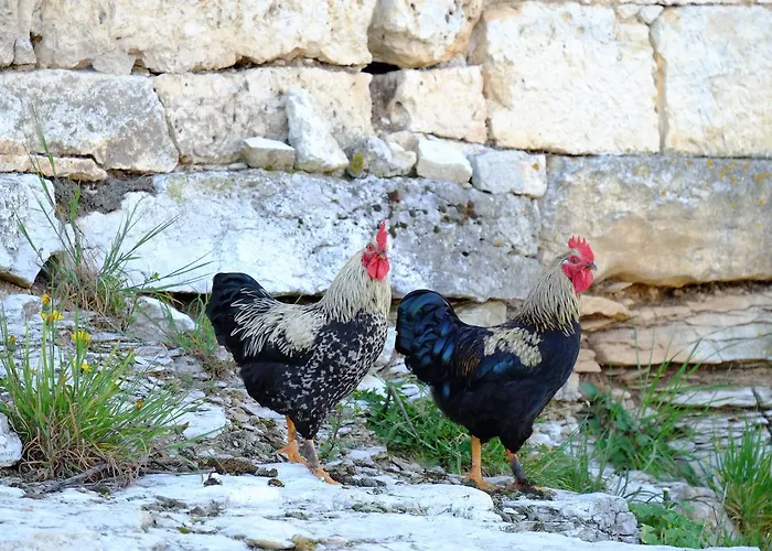 Bed & Breakfast Roquedure Farm *