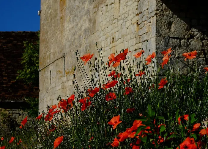 Bed & Breakfast Roquedure Farm