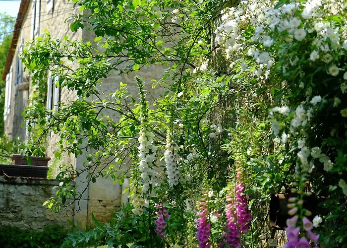 Bed & Breakfast Roquedure Farm