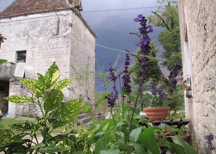 Roquedure Farm Montfaucon (Lot)