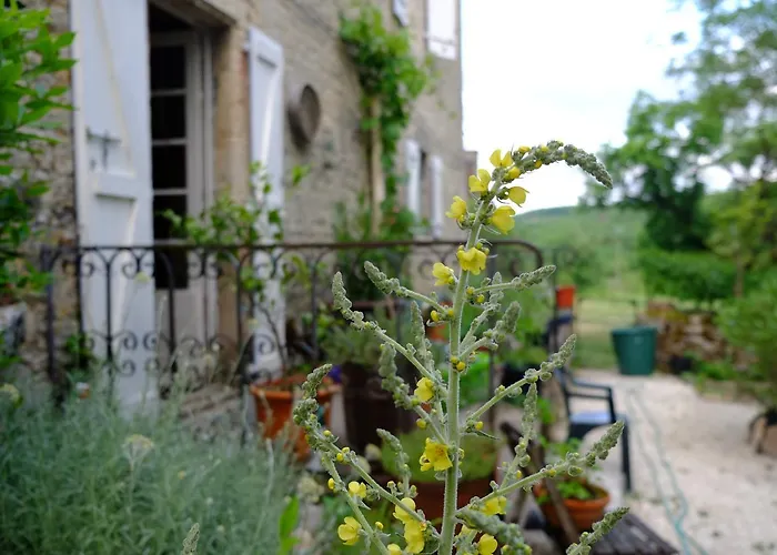 Roquedure Farm Montfaucon (Lot)