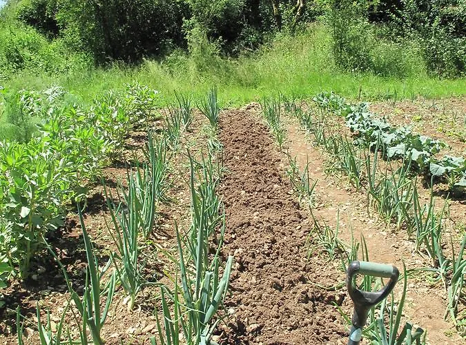 Bed & Breakfast Roquedure Farm Montfaucon (Lot)