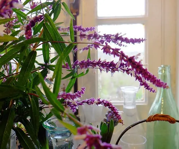 Roquedure Farm Bed & Breakfast