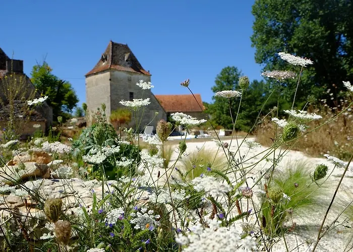 Roquedure Farm Montfaucon (Lot)