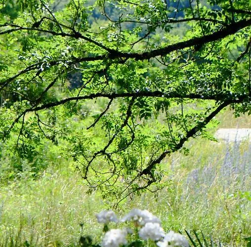 Roquedure Farm Bed & Breakfast *