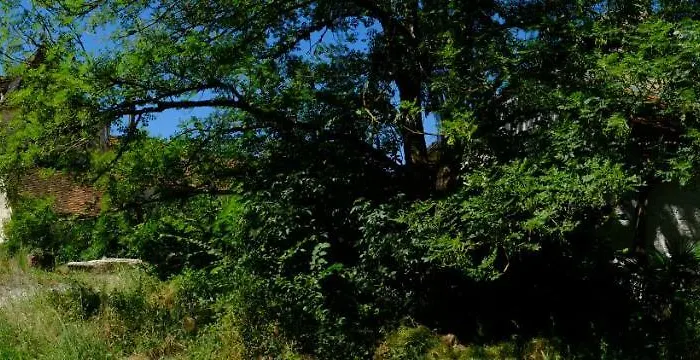 Roquedure Farm Bed & Breakfast Montfaucon (Lot)