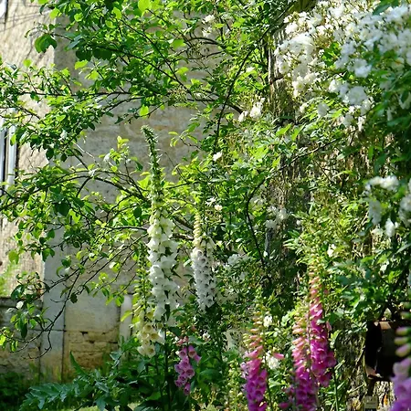 Bed & Breakfast Roquedure Farm