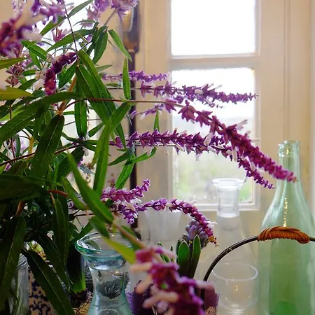 Roquedure Farm فندق مبيت وإفطار